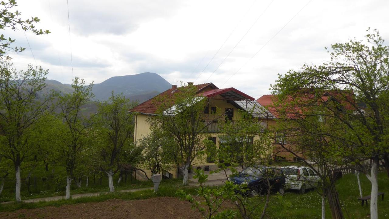 Guest House Pribojska Banja 外观 照片