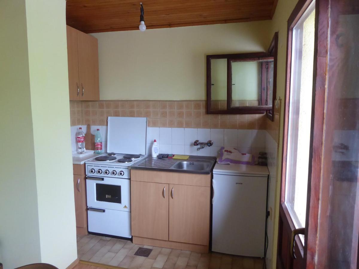 Guest House Pribojska Banja 外观 照片