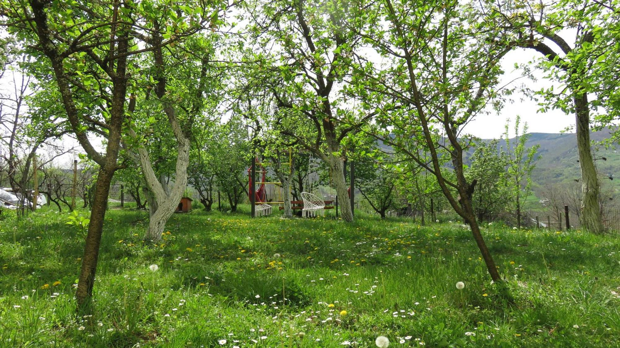 Guest House Pribojska Banja 外观 照片