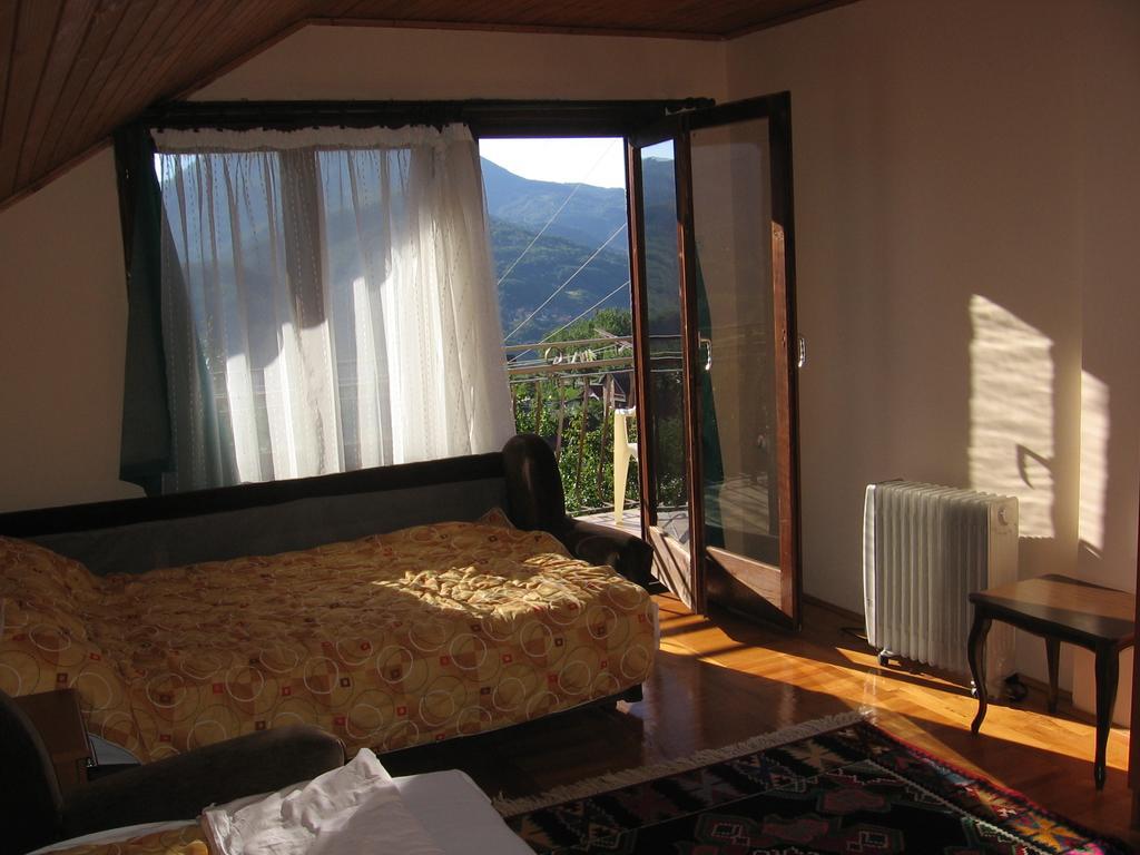 Guest House Pribojska Banja 外观 照片