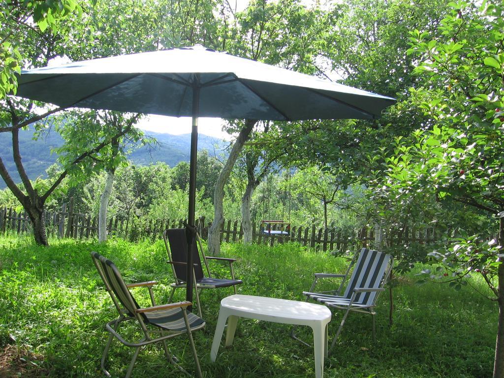 Guest House Pribojska Banja 外观 照片